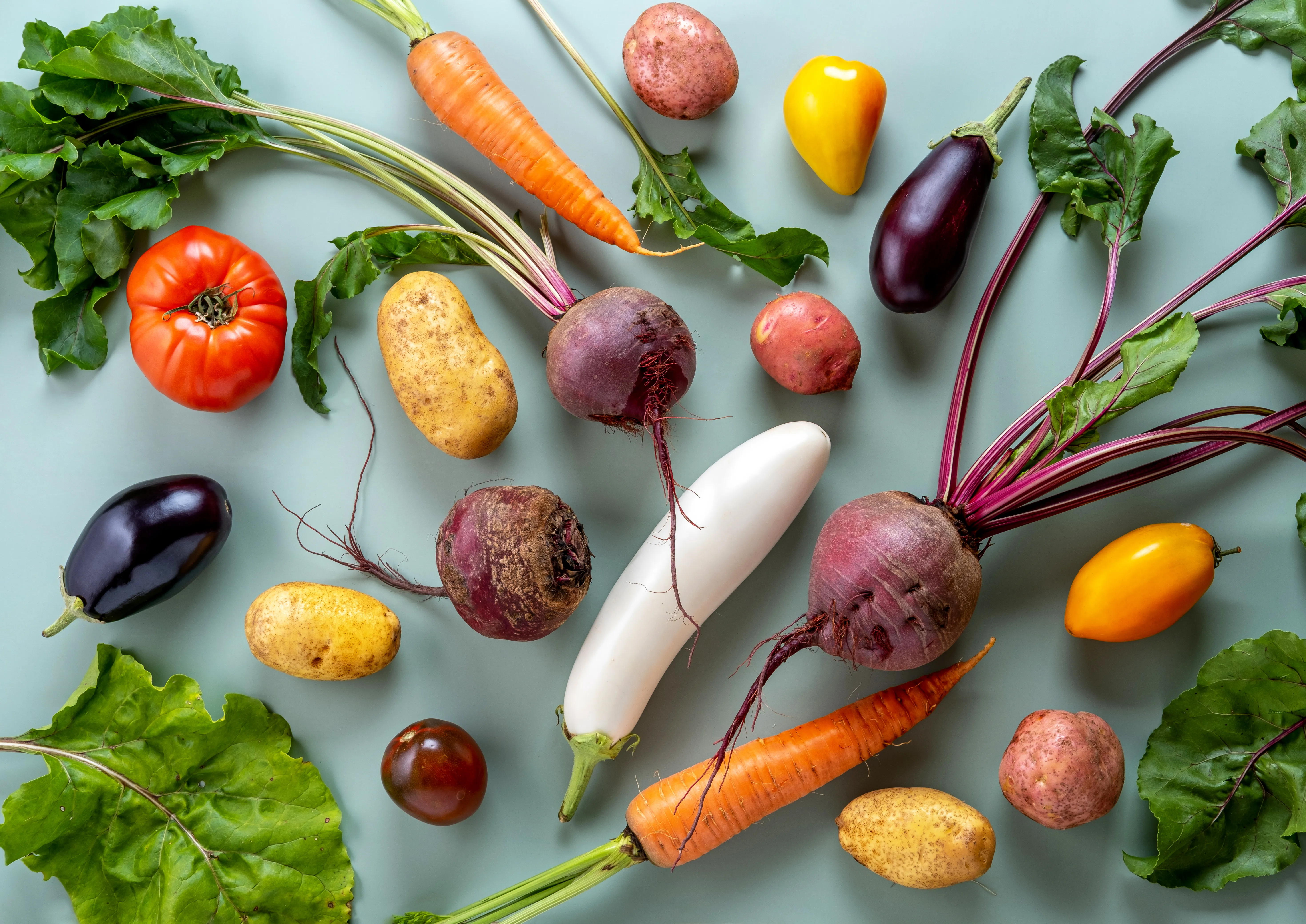 Legumes frescos da colheita